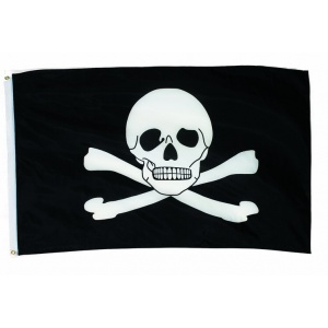 piratenvlag groot